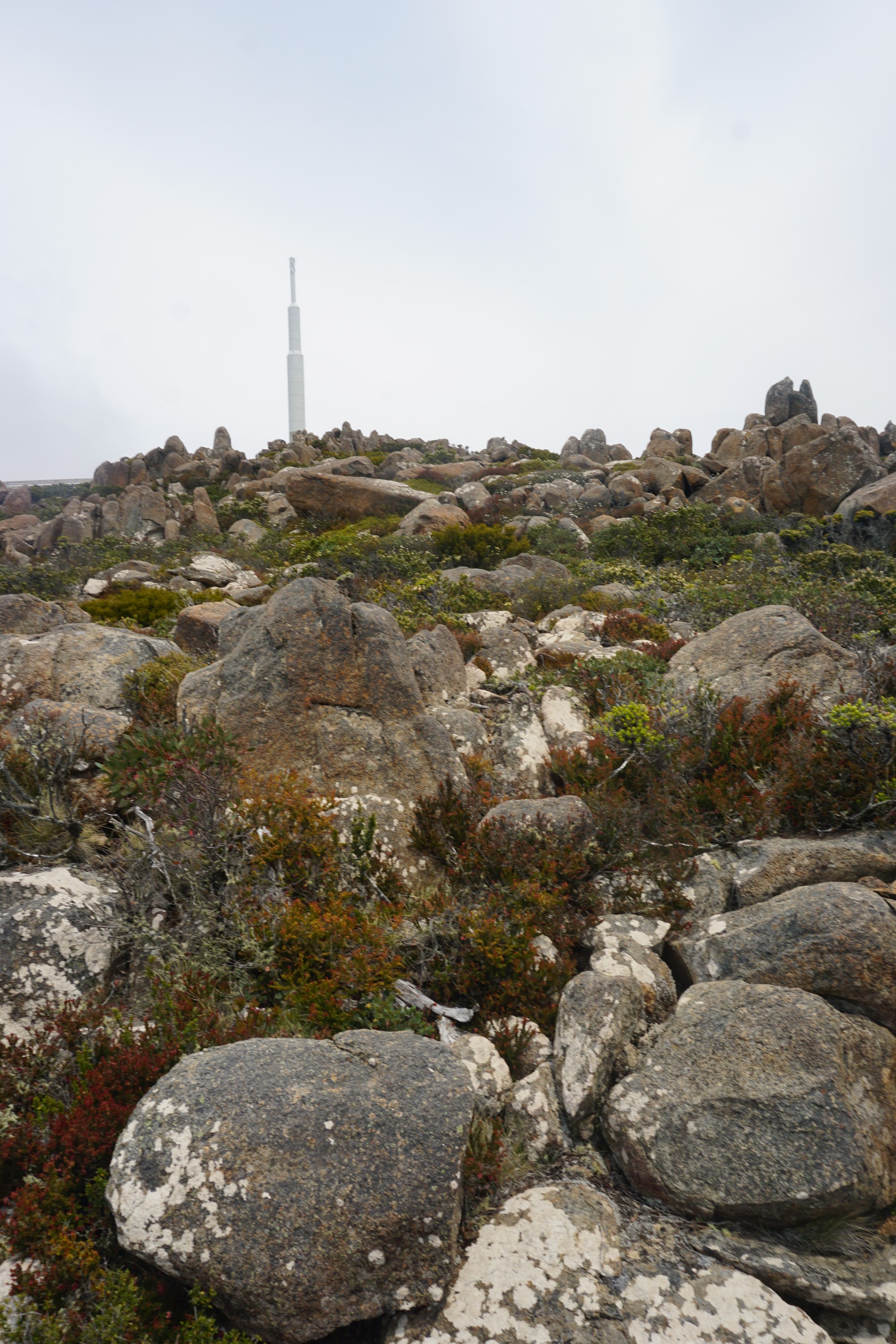 the Pinnacles atop Mt Wellington
